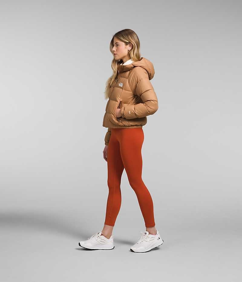 The North Face Hydrenalite™ Dunjakke Dame Brune | OSLO NPDLZQ