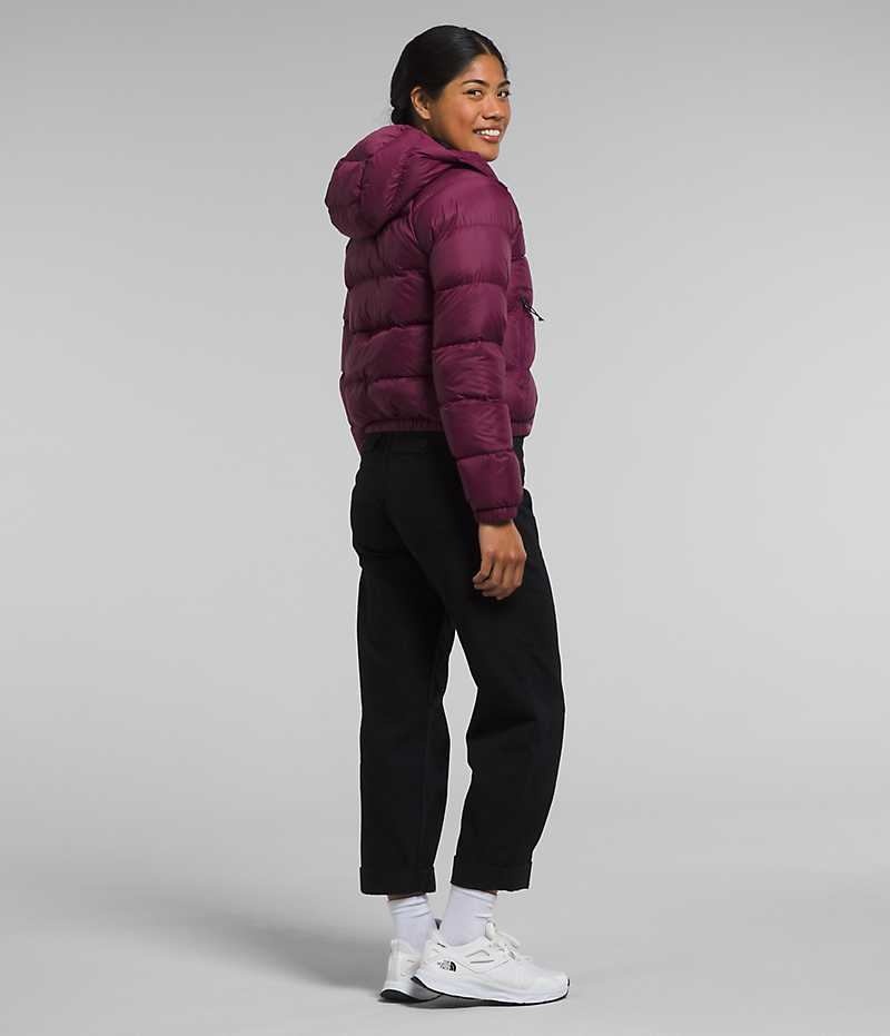 The North Face Hydrenalite™ Dunjakke Dame Fuchsia | NORGE RWUNSF