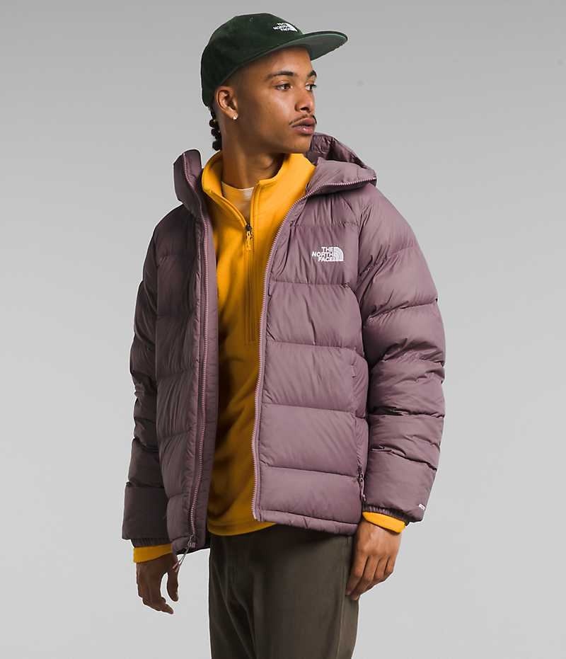 The North Face Hydrenalite™ Hoodie Dunjakke Herre Fuchsia | OSLO COSGVJ