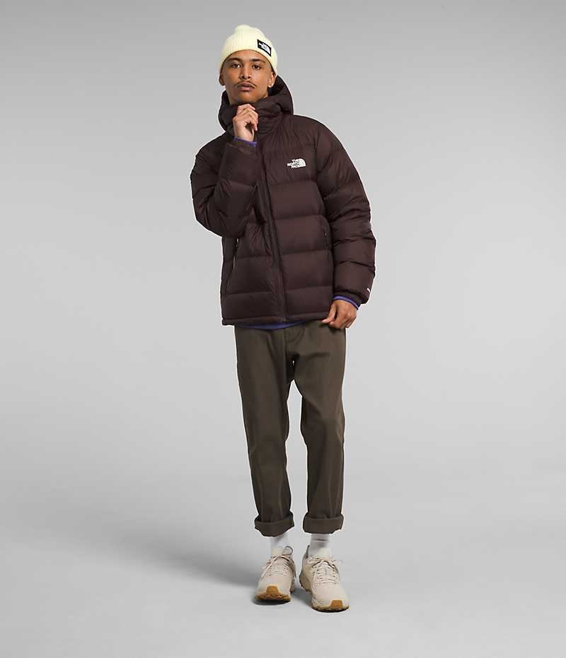 The North Face Hydrenalite™ Hoodie Dunjakke Herre Burgunder | NORGE TBNFUA