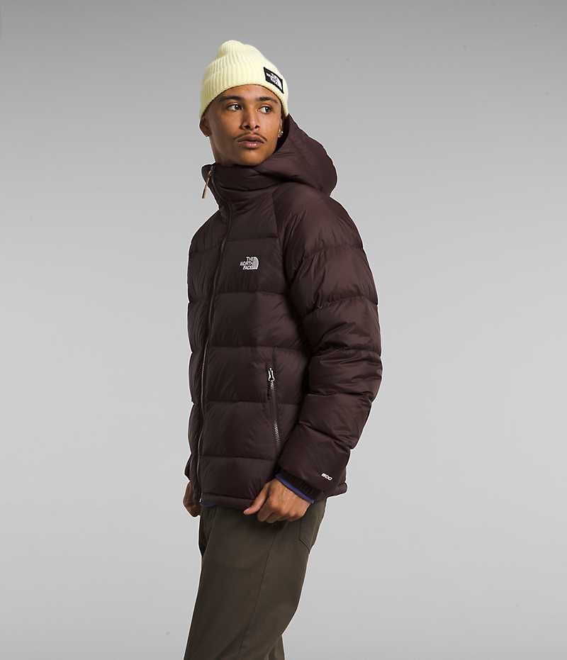 The North Face Hydrenalite™ Hoodie Dunjakke Herre Burgunder | NORGE TBNFUA