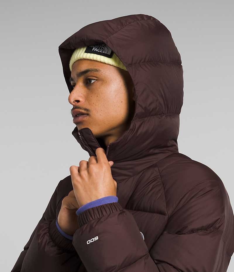 The North Face Hydrenalite™ Hoodie Dunjakke Herre Burgunder | NORGE TBNFUA