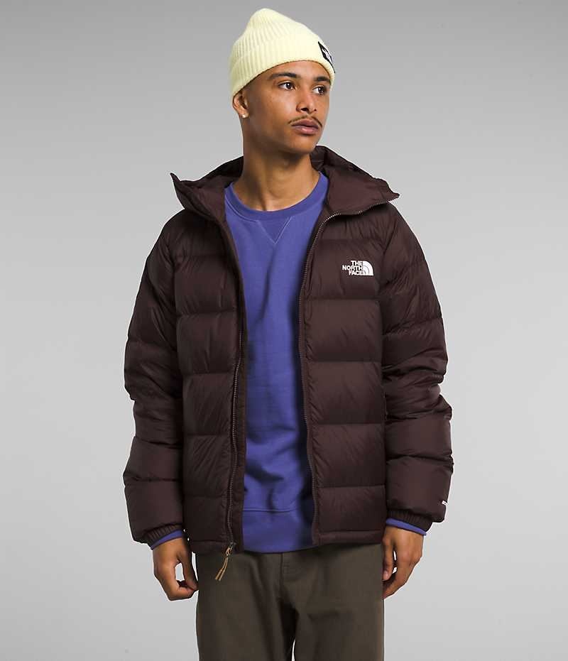 The North Face Hydrenalite™ Hoodie Dunjakke Herre Burgunder | NORGE TBNFUA