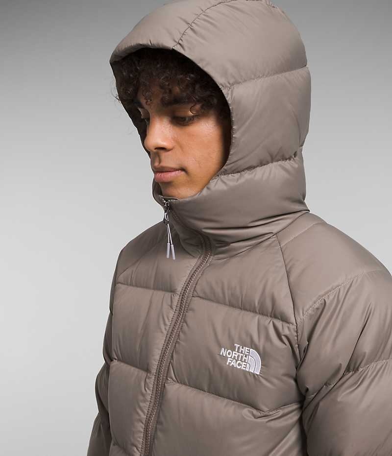 The North Face Hydrenalite™ Hoodie Dunjakke Herre Brune | OSLO CBGFWI