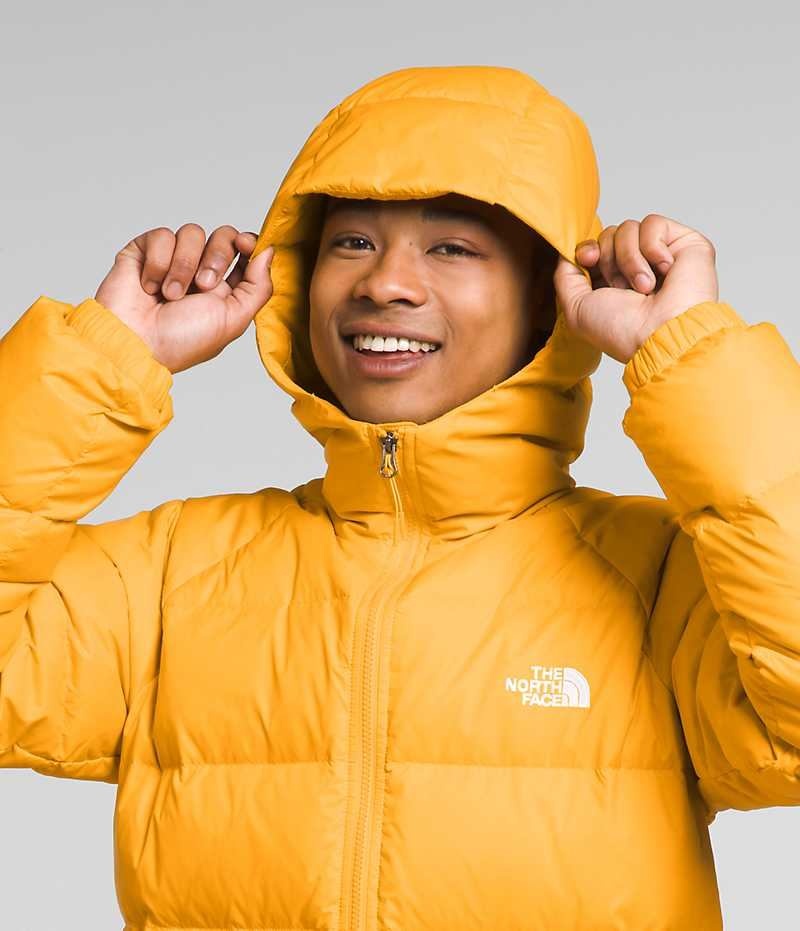 The North Face Hydrenalite™ Hoodie Dunjakke Herre Gull | OSLO GWPYIL