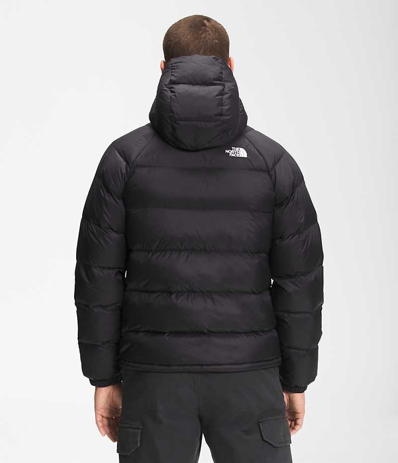 The North Face Hydrenalite™ Hoodie Dunjakke Herre Svarte | OSLO LWEDZQ