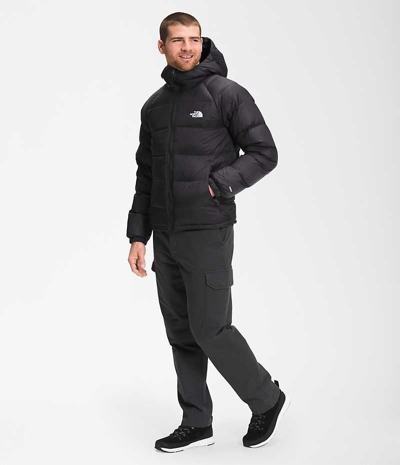 The North Face Hydrenalite™ Hoodie Dunjakke Herre Svarte | OSLO LWEDZQ