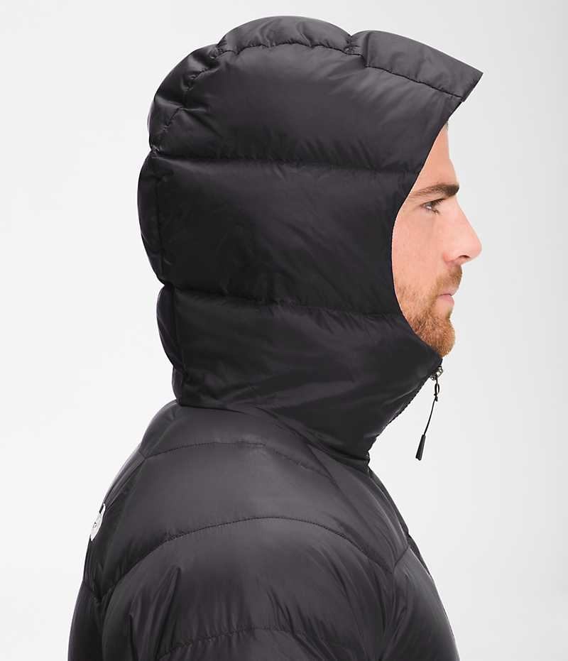 The North Face Hydrenalite™ Hoodie Dunjakke Herre Svarte | OSLO LWEDZQ