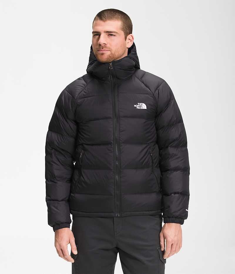 The North Face Hydrenalite™ Hoodie Dunjakke Herre Svarte | OSLO LWEDZQ