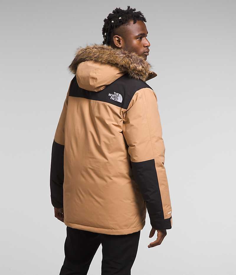 The North Face McMurdo Parka Herre Beige | OSLO UXPTMZ