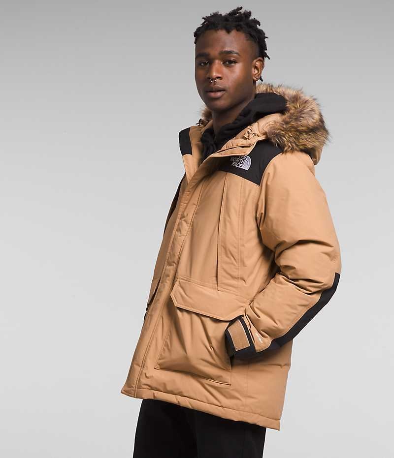 The North Face McMurdo Parka Herre Beige | OSLO UXPTMZ