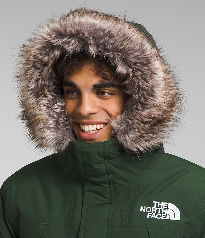 The North Face McMurdo Parka Herre Grønn | NORGE AYSDRT