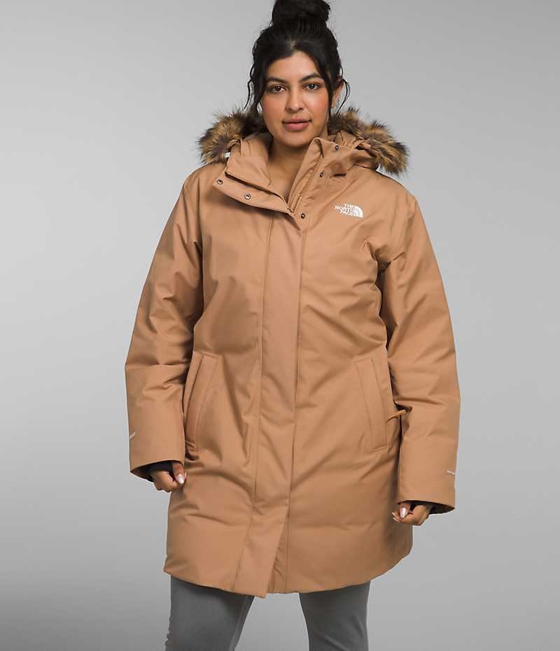 The North Face Plus Arctic Parka Dame Brune | NORGE EBGQHL