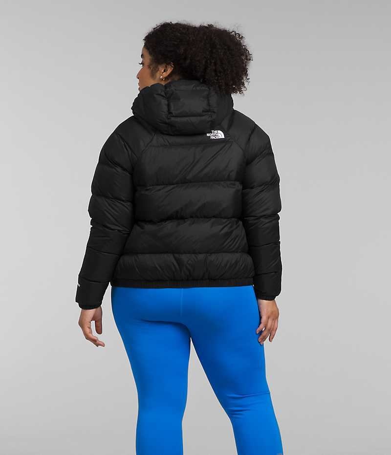 The North Face Plus Hydrenalite™ Hoodie Dunjakke Dame Svarte | NORGE LDHUEP