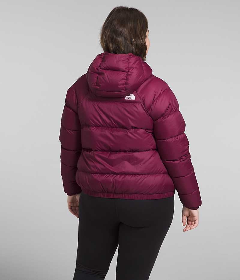 The North Face Plus Hydrenalite™ Hoodie Dunjakke Dame Rød | OSLO ZVTMUD