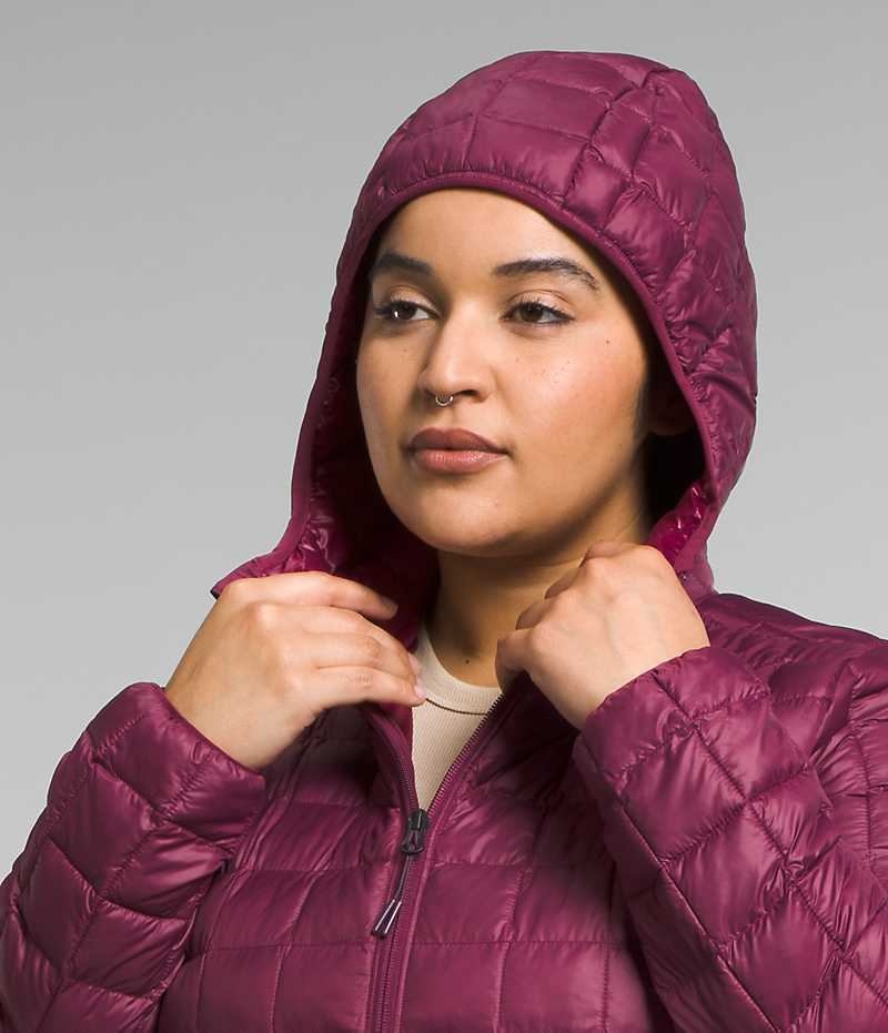 The North Face Plus ThermoBall™ Eco Parka Dame Rød | OSLO FKHMVP