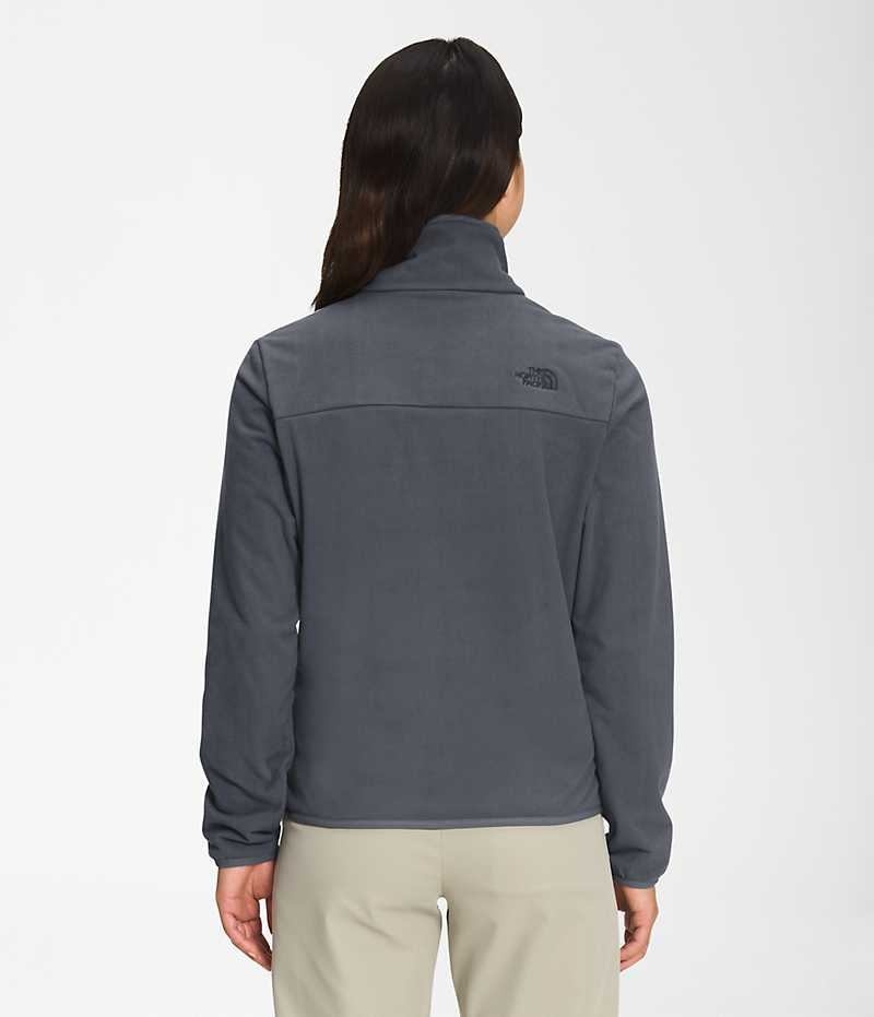 The North Face Polar Osito ¼-Zip Sweatshirt Dame Grå | OSLO FUQWDJ