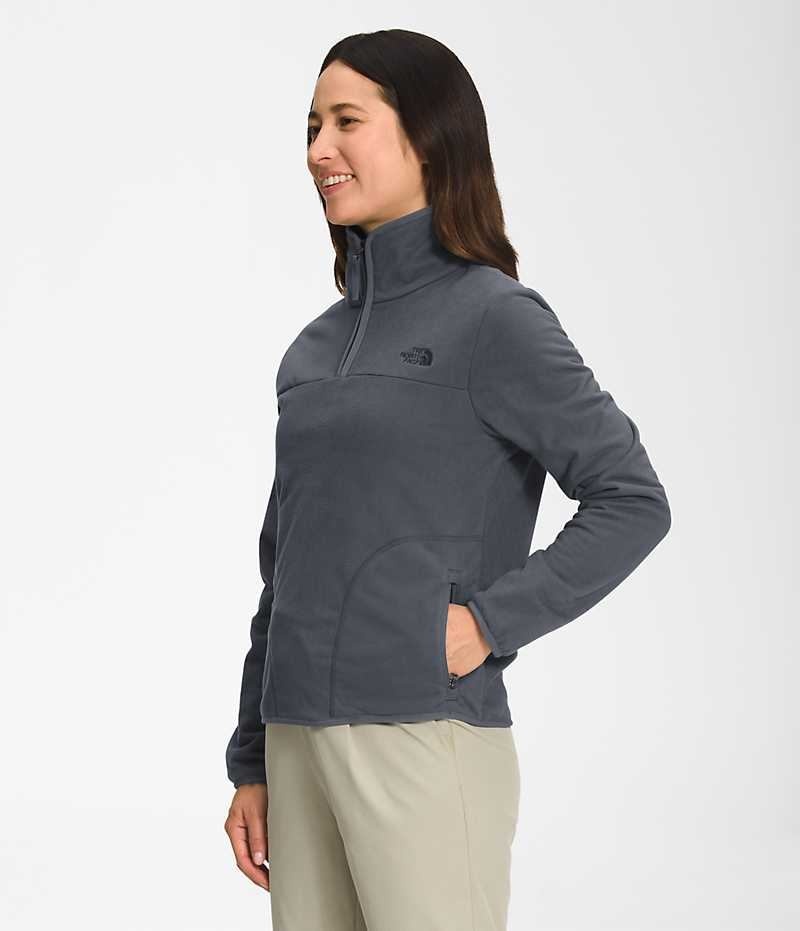 The North Face Polar Osito ¼-Zip Sweatshirt Dame Grå | OSLO FUQWDJ