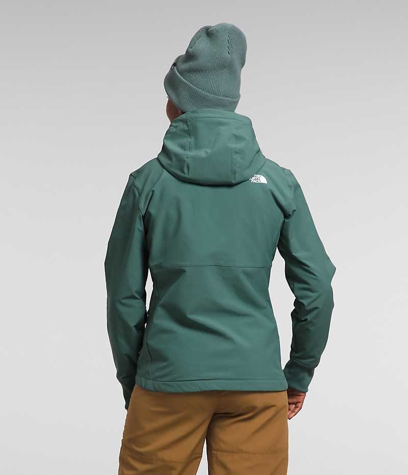 The North Face Shelbe Raschel Hoodie Softshell Jakke Dame Grønn | NORGE UDXLCR