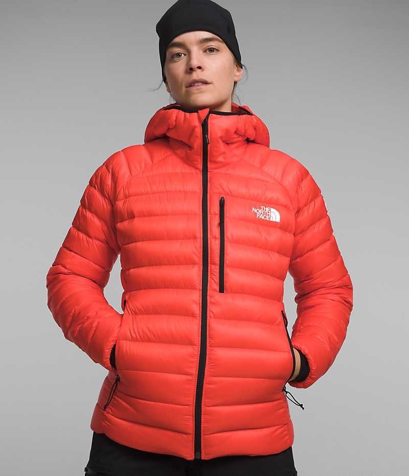 The North Face Summit Series Breithorn Hoodie Dunjakke Dame Oransje | OSLO KGTIDO