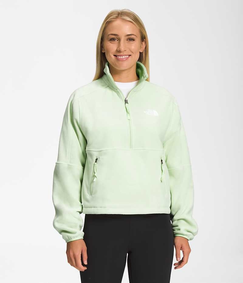 The North Face TNF™ Polartec® 100 ¼-Zip Fleecejakker Dame Mint | OSLO AFRJXS