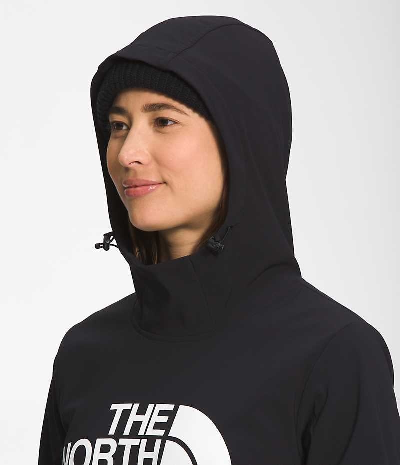 The North Face Tekno Pullover Hettegenser Dame Svarte | OSLO CPWBVR