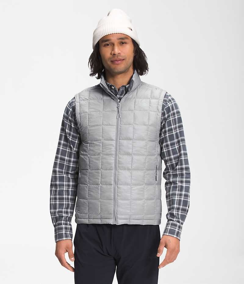 The North Face ThermoBall™ Eco 2.0 Dunvest Herre Grå | NORGE PDSZMY